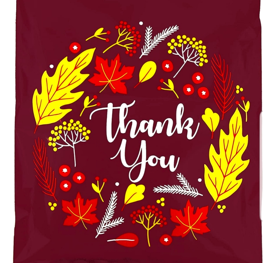 C.....25 XL 14.5x19" INSPIRED Autumn POLY MAILERS